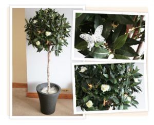 Bay Trees to hire with Flowers and Butterflies